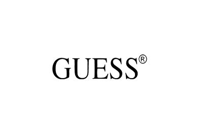 Logo guess