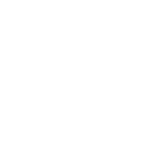 Socio de Cace