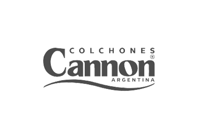 Logo cannon